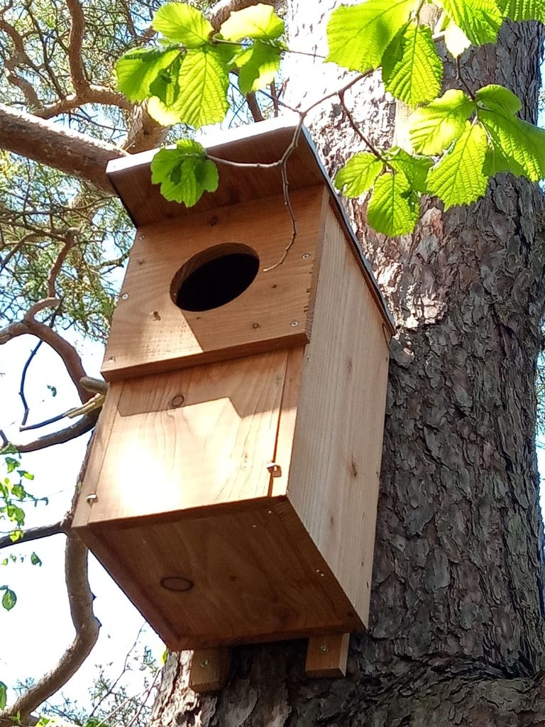 Nichoir pour chauves-souris